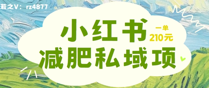 小红书减肥粉，私域变现项目，一单就达210元，小白也能轻松上手【揭秘】-点子口袋网