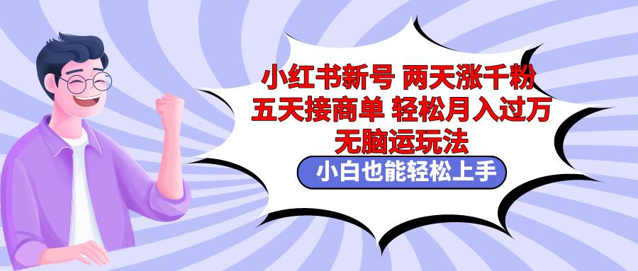 小红书新号两天涨千粉五天接商单轻松月入过万 无脑搬运玩法 小白也能轻...-点子口袋网