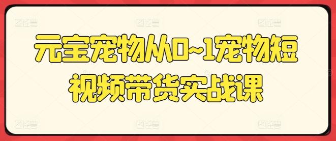 元宝宠物从0~1宠物短视频带货实战课-点子口袋网