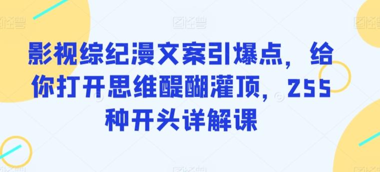 影视综纪漫文案引爆点，给你打开思维醍醐灌顶，255种开头详解课-点子口袋网