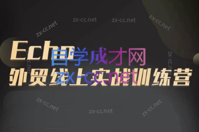 Echo老师·外贸线上实战训练营-点子口袋网