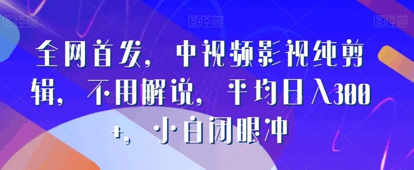 全网首发，中视频影视纯剪辑，不用解说，平均日入300+，小白闭眼冲-点子口袋网
