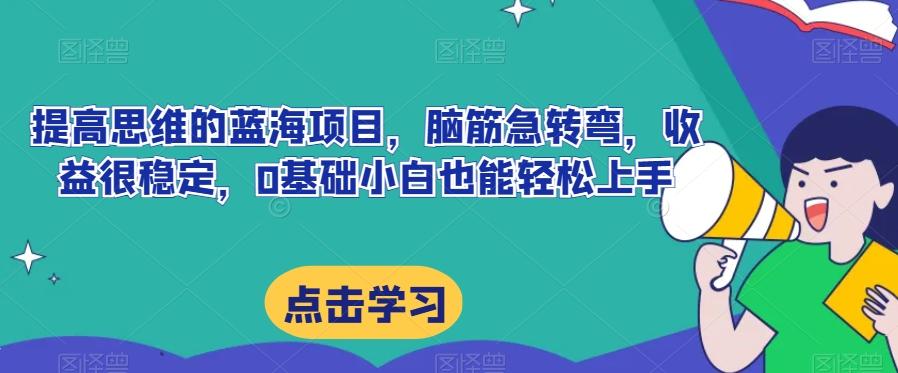 提高思维的蓝海项目，脑筋急转弯，收益很稳定，0基础小白也能轻松上手-点子口袋网