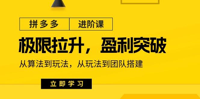 拼多多·进阶课：极限拉升/盈利突破：从算法到玩法 从玩法到团队搭建-18节-点子口袋网