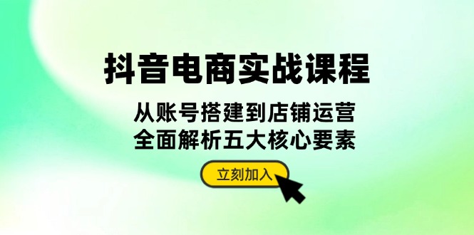 抖音 电商实战课程：从账号搭建到店铺运营，全面解析五大核心要素-点子口袋网