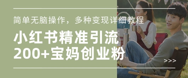小红书混剪日引200+宝妈创业粉，简单无脑操作，多种变现详细教程-点子口袋网