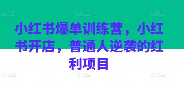 小红书爆单训练营，小红书开店，普通人逆袭的红利项目-点子口袋网