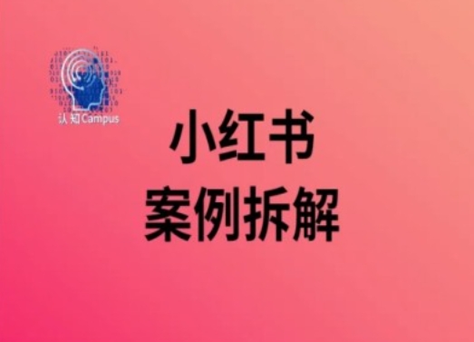 小红书案例拆解，深度解读小红书40万粉-点子口袋网