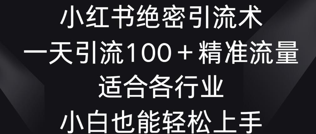 小红书绝密引流术，一天引流100+精准流量，适合各个行业，小白也能轻松上手【揭秘】-点子口袋网
