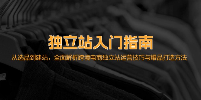 独立站入门指南：从选品到建站，全面解析跨境电商独立站运营技巧与爆品...-点子口袋网