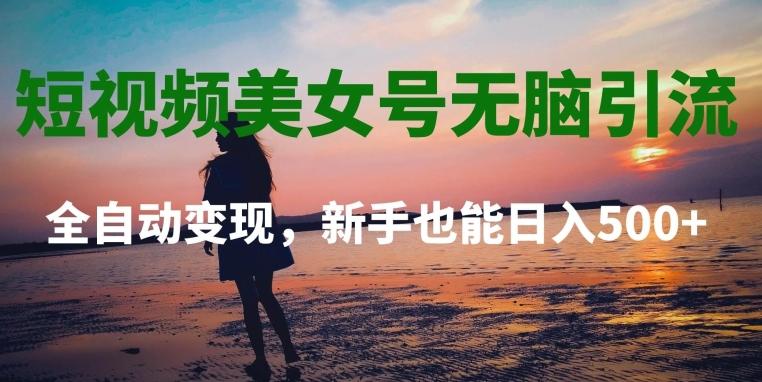 短视频美女号无脑引流，全自动变现，新手也能日入500+-点子口袋网