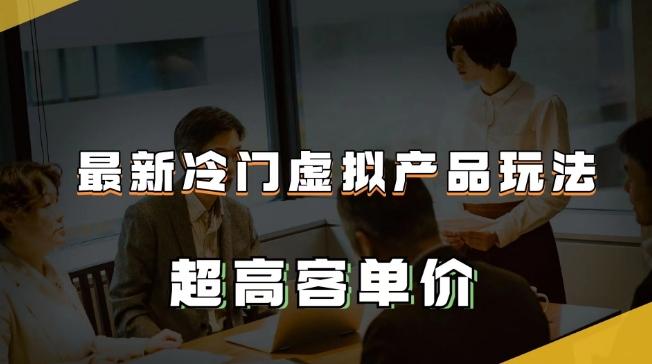 最新冷门虚拟产品玩法，超高客单价，月入2-3万＋【揭秘】-点子口袋网