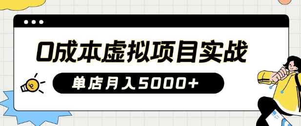 0成本虚拟项目实战手把手教你落地，单店月入5k-点子口袋网