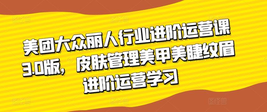 美团大众丽人行业进阶运营课3.0版，皮肤管理美甲美睫纹眉进阶运营学习-点子口袋网