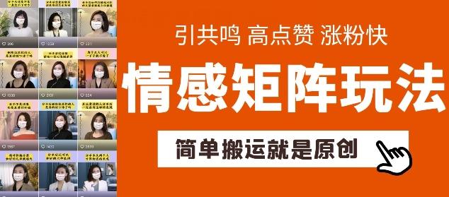 简单搬运，情感矩阵玩法，涨粉速度快，可带货，可起号【揭秘】-点子口袋网