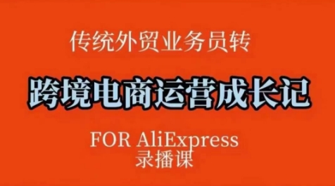 跨境电商速卖通运营课，​运营方法论+后台实操，逻辑清晰-点子口袋网