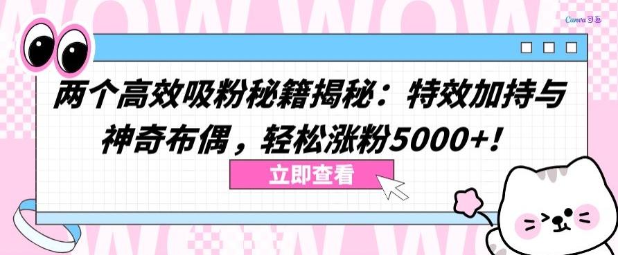 两个高效吸粉秘籍揭秘：特效加持与神奇布偶，轻松涨粉5000+【揭秘】-点子口袋网