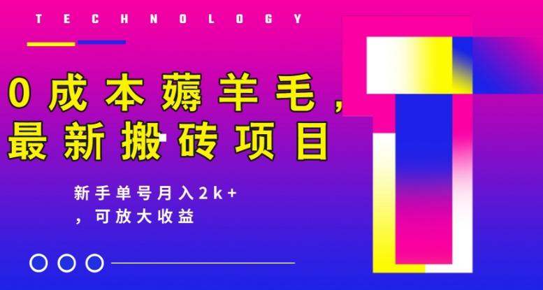 0成本薅羊毛，最新搬砖项目，新手单号月入2k+，可放大操作-点子口袋网