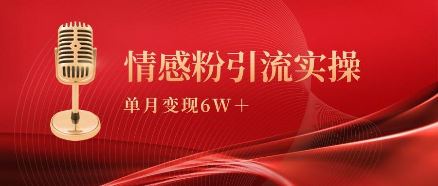 (9473期)单月变现6w+，情感粉引流变现实操课-点子口袋网