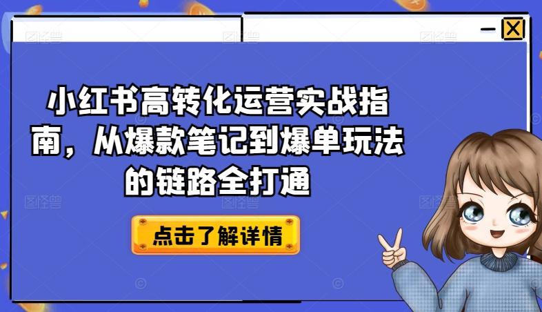 小红书高转化运营实战指南，从爆款笔记到爆单玩法的链路全打通-点子口袋网