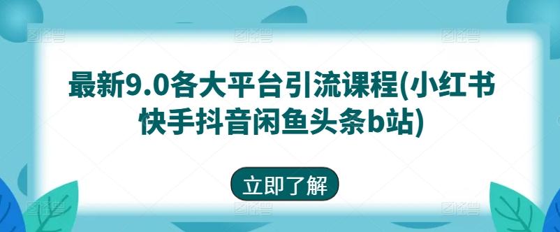 最新9.0各大平台引流课程(小红书快手抖音闲鱼头条b站)-点子口袋网