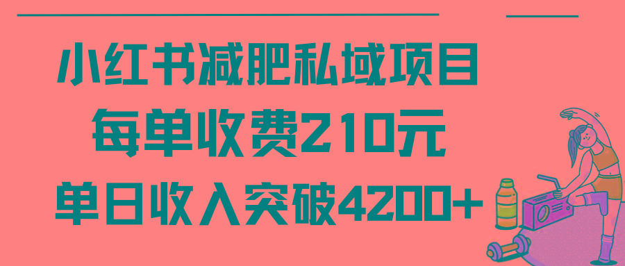 (9466期)小红书减肥私域项目每单收费210元单日成交20单，最高日入4200+-点子口袋网