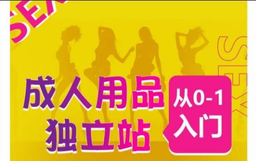 成人用品独立站从0-1入门，成品独立站运营全流程教学，七大好卖成品独立站推荐-点子口袋网