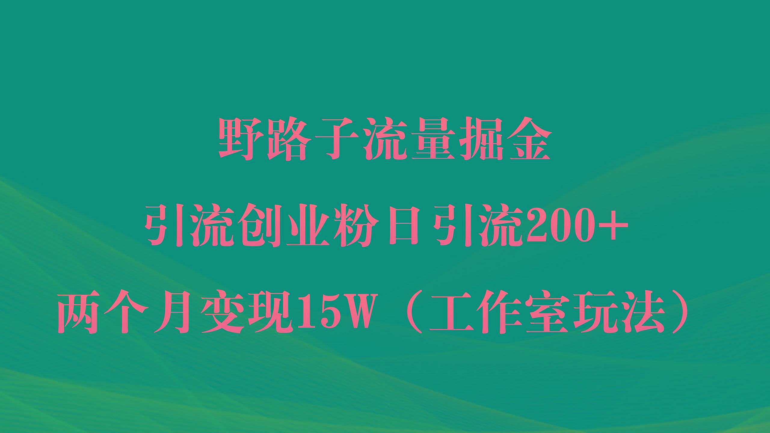 (9513期)野路子流量掘金，引流创业粉日引流200+，两个月变现15W(工作室玩法))-点子口袋网