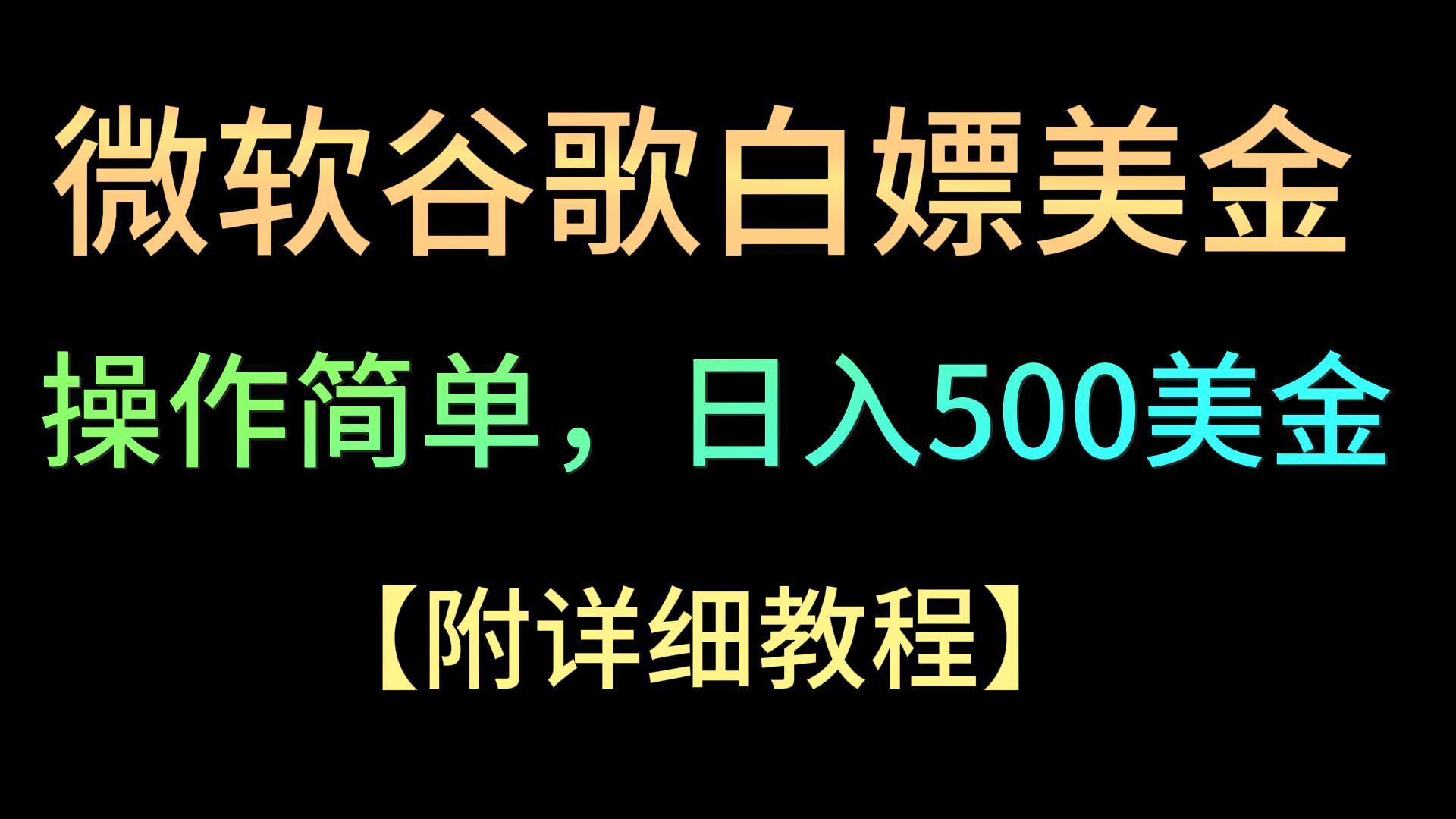 微软谷歌项目3.0，轻松日赚500+美金，操作简单，小白也可轻松入手！-点子口袋网