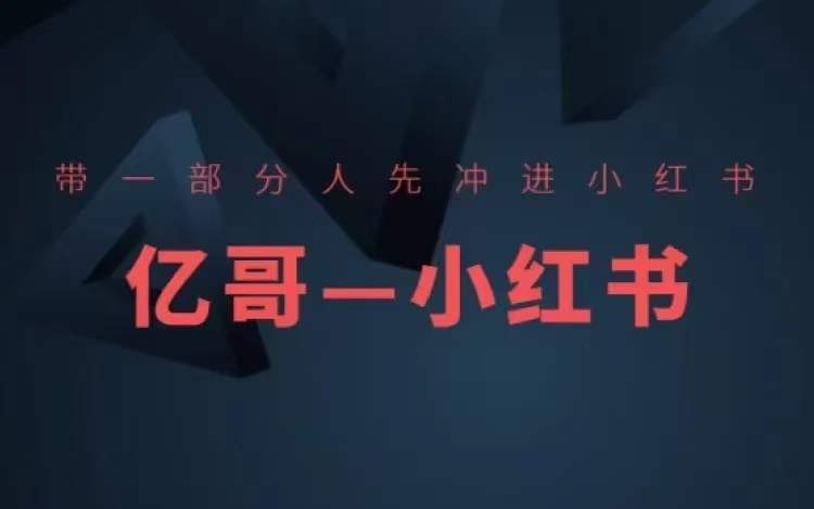 ​​带一部分人先冲进小红书，小红书开店、选品、爆款裂变-点子口袋网