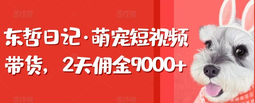 东哲日记·萌宠短视频带货，2天佣金9000+-点子口袋网