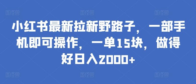 小红书最新拉新野路子，一部手机即可操作，一单15块，做得好日入2000+【揭秘】-点子口袋网