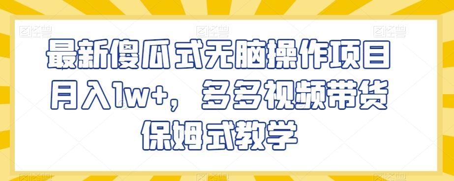 最新傻瓜式无脑操作项目月入1w+，多多视频带货保姆式教学【揭秘】-点子口袋网