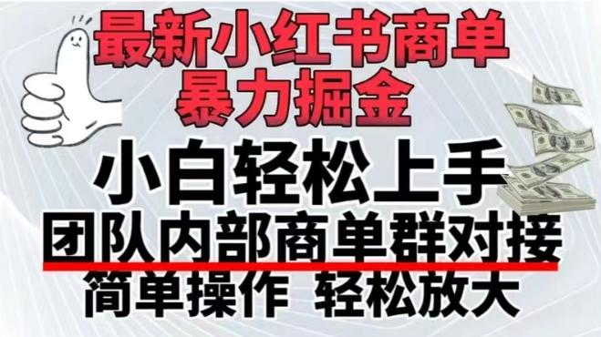 最新小红书商单，暴力掘金，单月稳定变现3W+-点子口袋网
