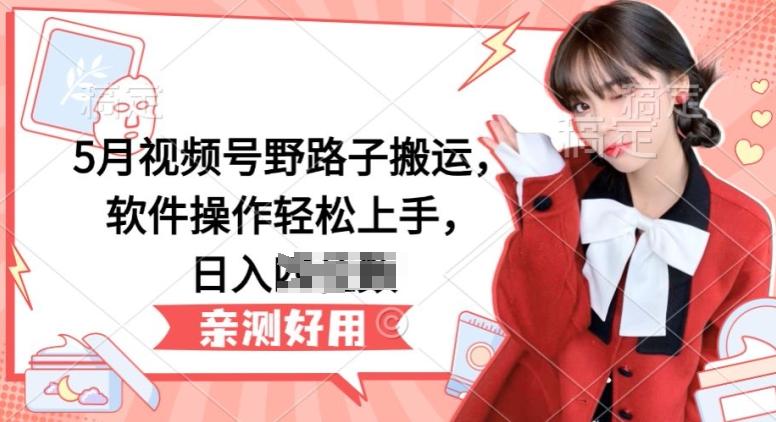 5月视频号野路子搬运，软件操作轻松上手，日入三位数【揭秘】-点子口袋网