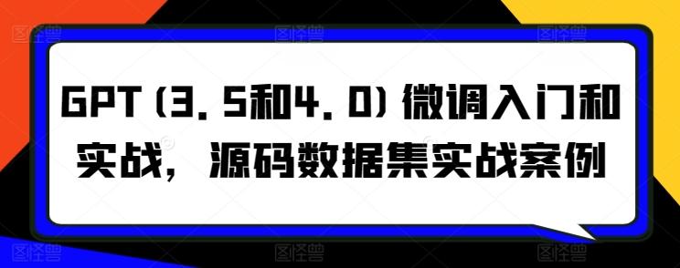 GPT(3.5和4.0)微调入门和实战，源码数据集实战案例-点子口袋网