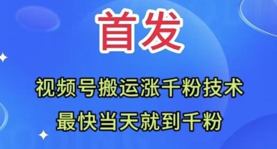 全网首发：视频号无脑搬运涨千粉技术，最快当天到千粉【揭秘】-点子口袋网