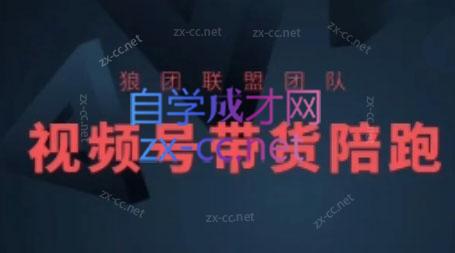 狼团联盟·2024视频号带货-点子口袋网