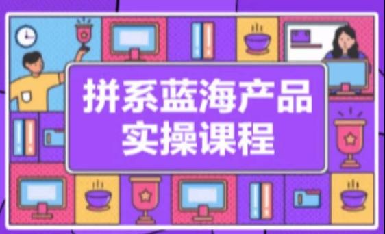 拼系冷门蓝海产品实操课程，从注册店铺到选品上架到流量维护环环相扣-点子口袋网