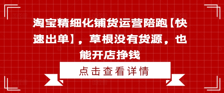 淘宝精细化铺货运营陪跑【快速出单】，草根没有货源，也能开店挣钱-点子口袋网