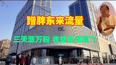 蹭胖东来流量，三天涨万粉，收益直接起飞-点子口袋网