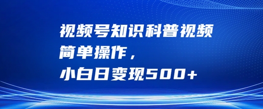视频号知识科普视频，简单操作，小白日变现500+【揭秘】-点子口袋网
