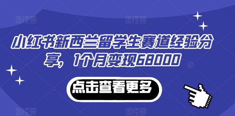 小红书新西兰留学生赛道经验分享，1个月变现68000【揭秘】-点子口袋网