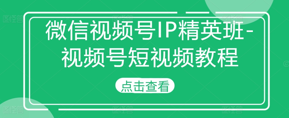 微信视频号IP精英班-视频号短视频教程-点子口袋网