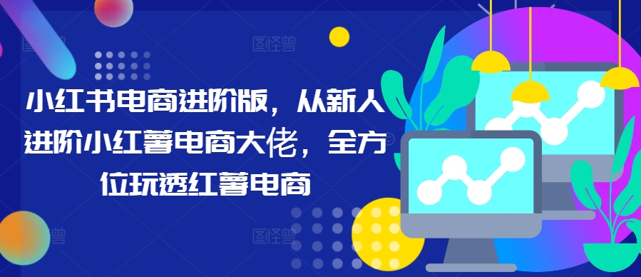 小红书电商进阶版，从新人进阶小红薯电商大佬，全方位玩透红薯电商-点子口袋网