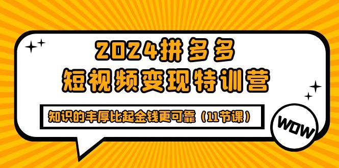 (9817期)2024拼多多短视频变现特训营，知识的丰厚比起金钱更可靠(11节课)-点子口袋网
