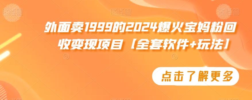 外面卖1999的2024爆火宝妈粉回收变现项目【全套软件+玩法】【揭秘】-点子口袋网