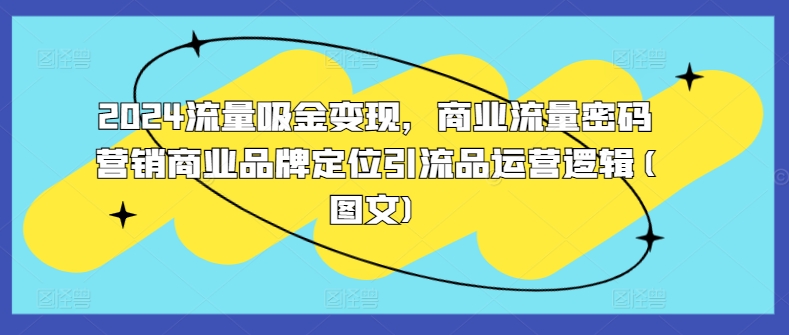 2024流量吸金变现，商业流量密码营销商业品牌定位引流品运营逻辑(图文)-点子口袋网