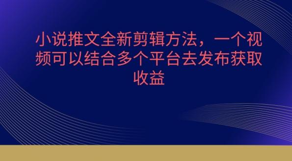 小说推文全新剪辑方法，一个视频可以结合多个平台去发布获取【揭秘】-点子口袋网
