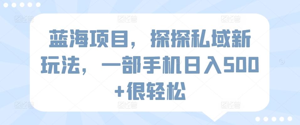 蓝海项目，探探私域新玩法，一部手机日入500+很轻松【揭秘】-点子口袋网